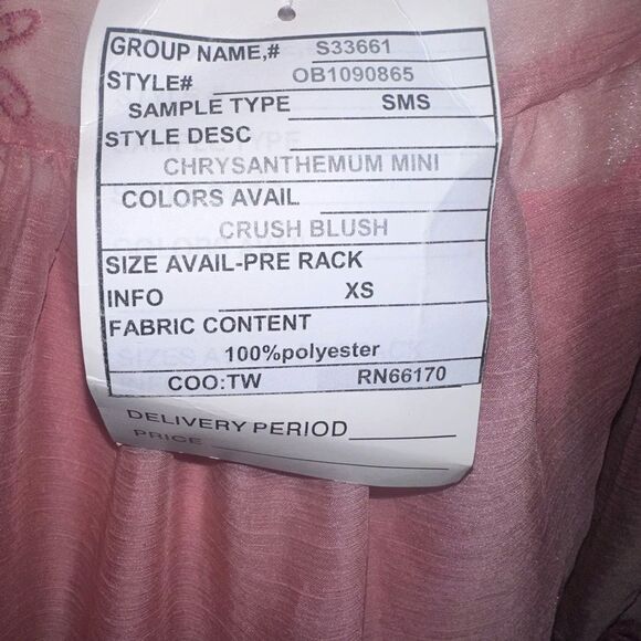 Free People Chrysanthemum Mini Sheer Embroidered Dress w Slip Dress Sz XS - Picture 7 of 10